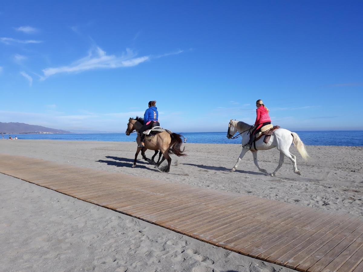 Sun, & The Year Beautiful Place To Enjoy In Summer Or Winter Apartament Vera